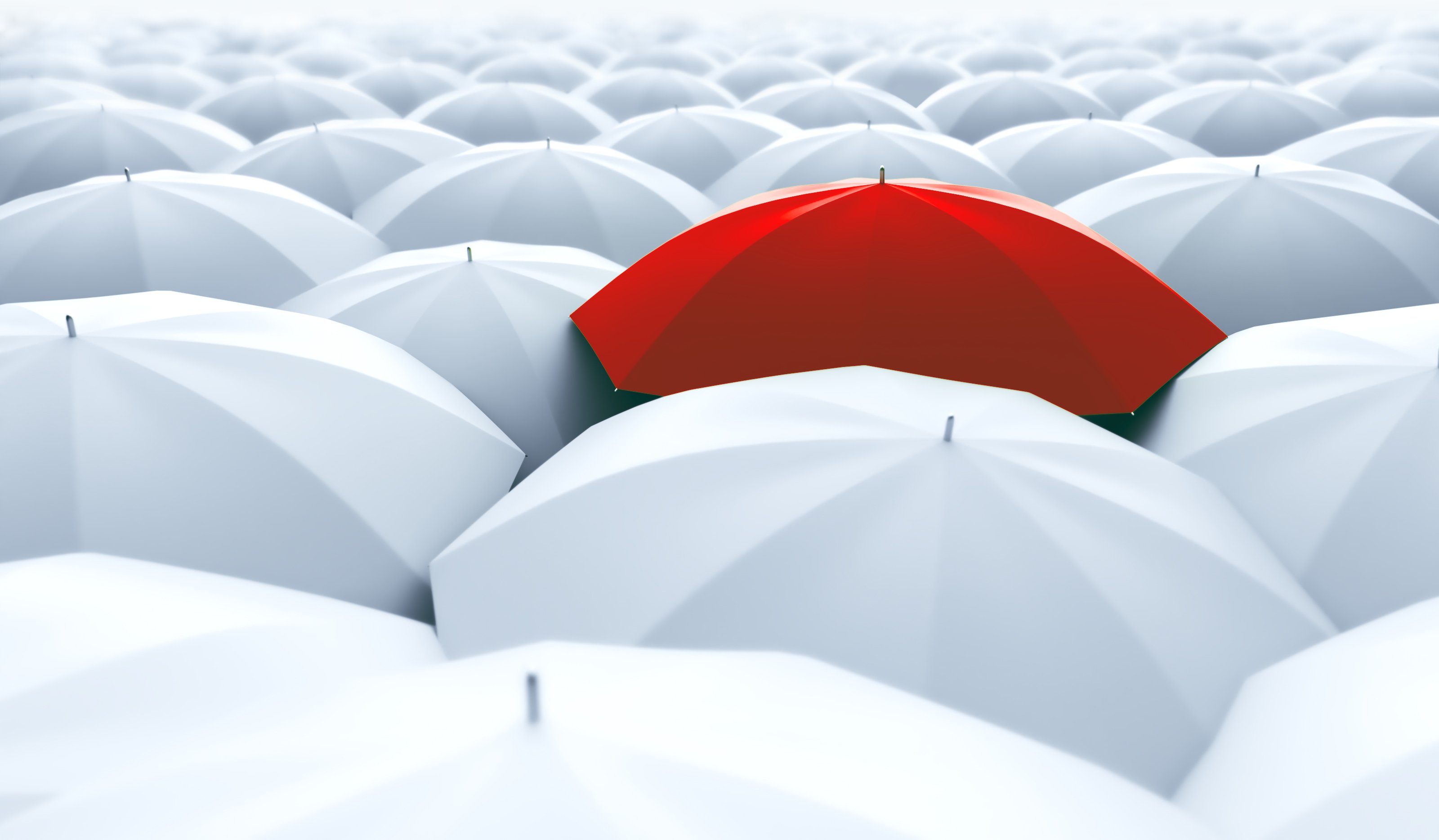 Red umbrella in a sea of white umbrellas